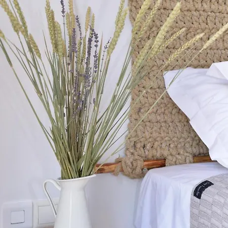 Milos Del Sol * 아다마스